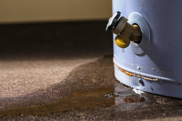 Best Water damage restoration near me  in Hebron, KY