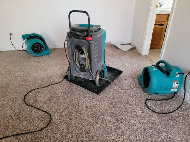 Best Water damage restoration process  in Hebron, KY