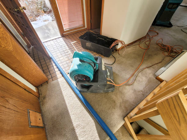 Best Ceiling water damage repair  in Hebron, KY