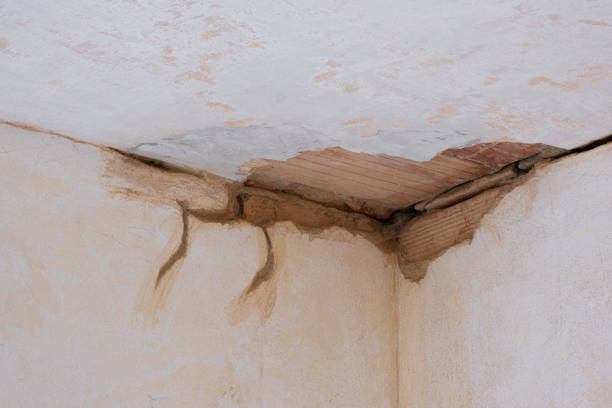  Hebron, KY Water damage restoration Pros
