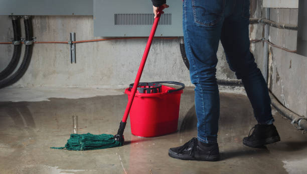 Best Water damage restoration services  in Hebron, KY