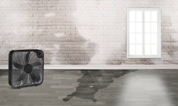Best Water damage restoration near me  in Hebron, KY