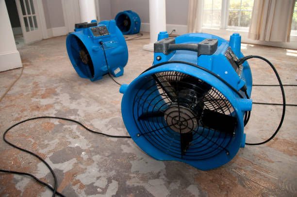 Best Water damage cleanup near me  in Hebron, KY