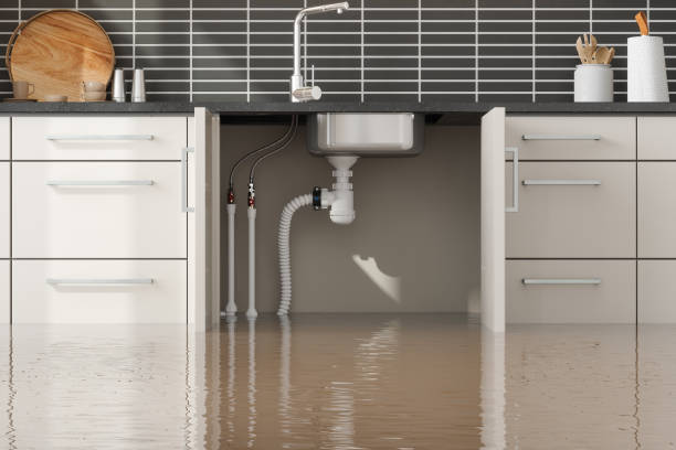 Trusted Hebron, KY Water damage restoration Experts
