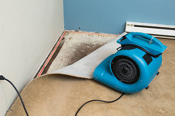 Best Local water damage restoration  in Hebron, KY