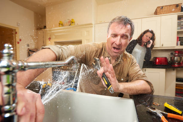 Best Professional water damage repair  in Hebron, KY